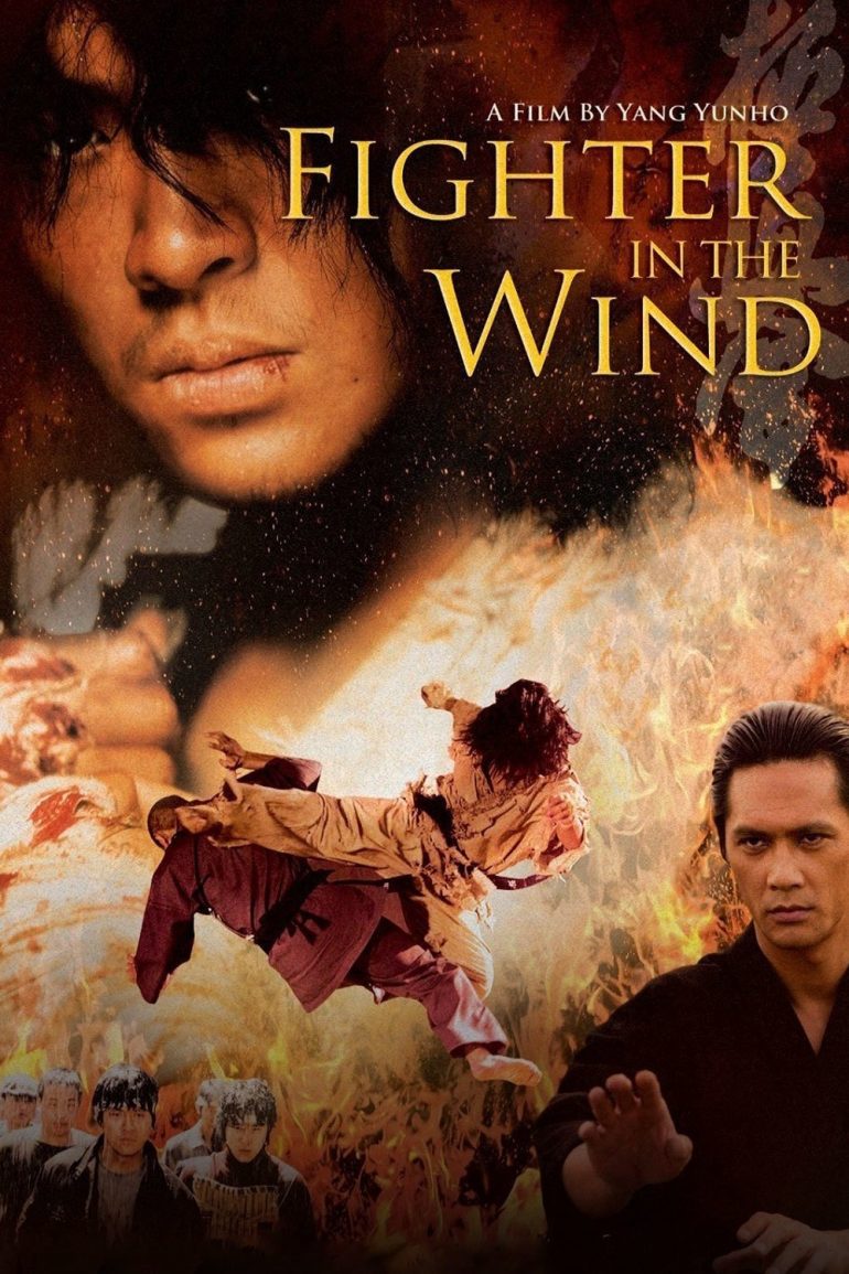 Affiche du film "Fighter in the Wind"