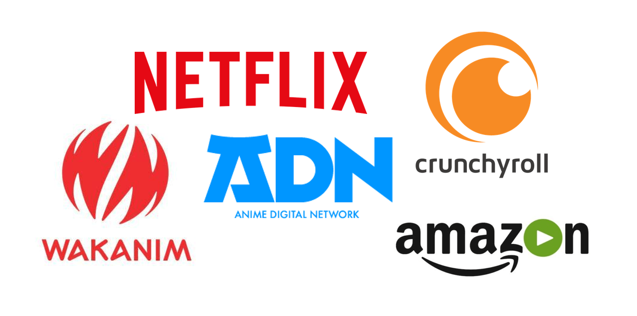 Netflix, ADN, Prime video, Crunchyroll, Wakanim : Comparatif des meilleurs  sites SVOD pour les animes